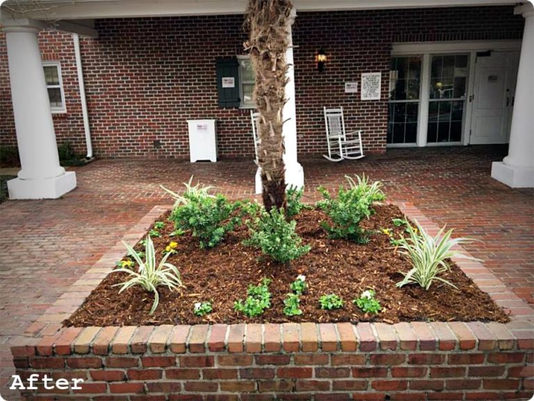 Gallery Acadiana Choppers