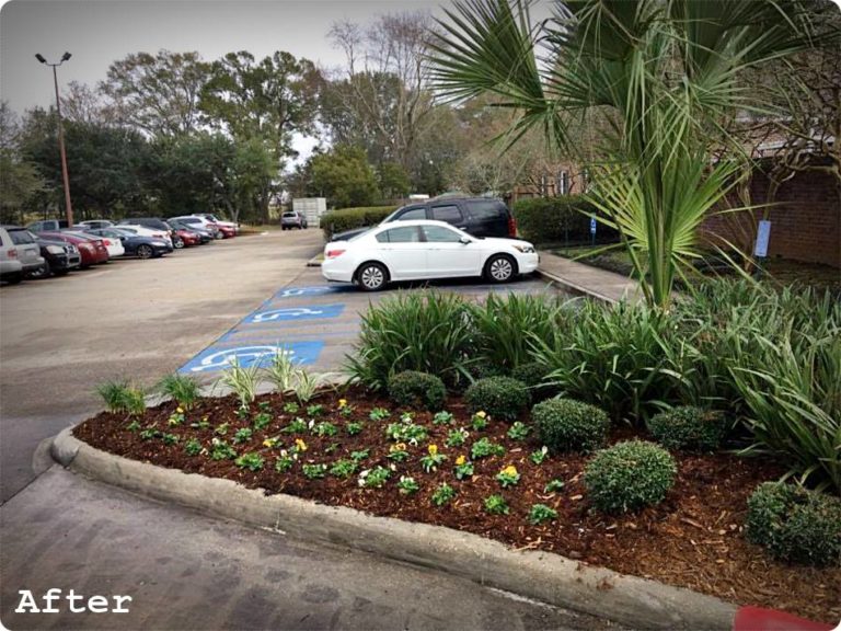 Gallery Acadiana Choppers