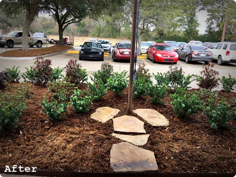 Gallery Acadiana Choppers