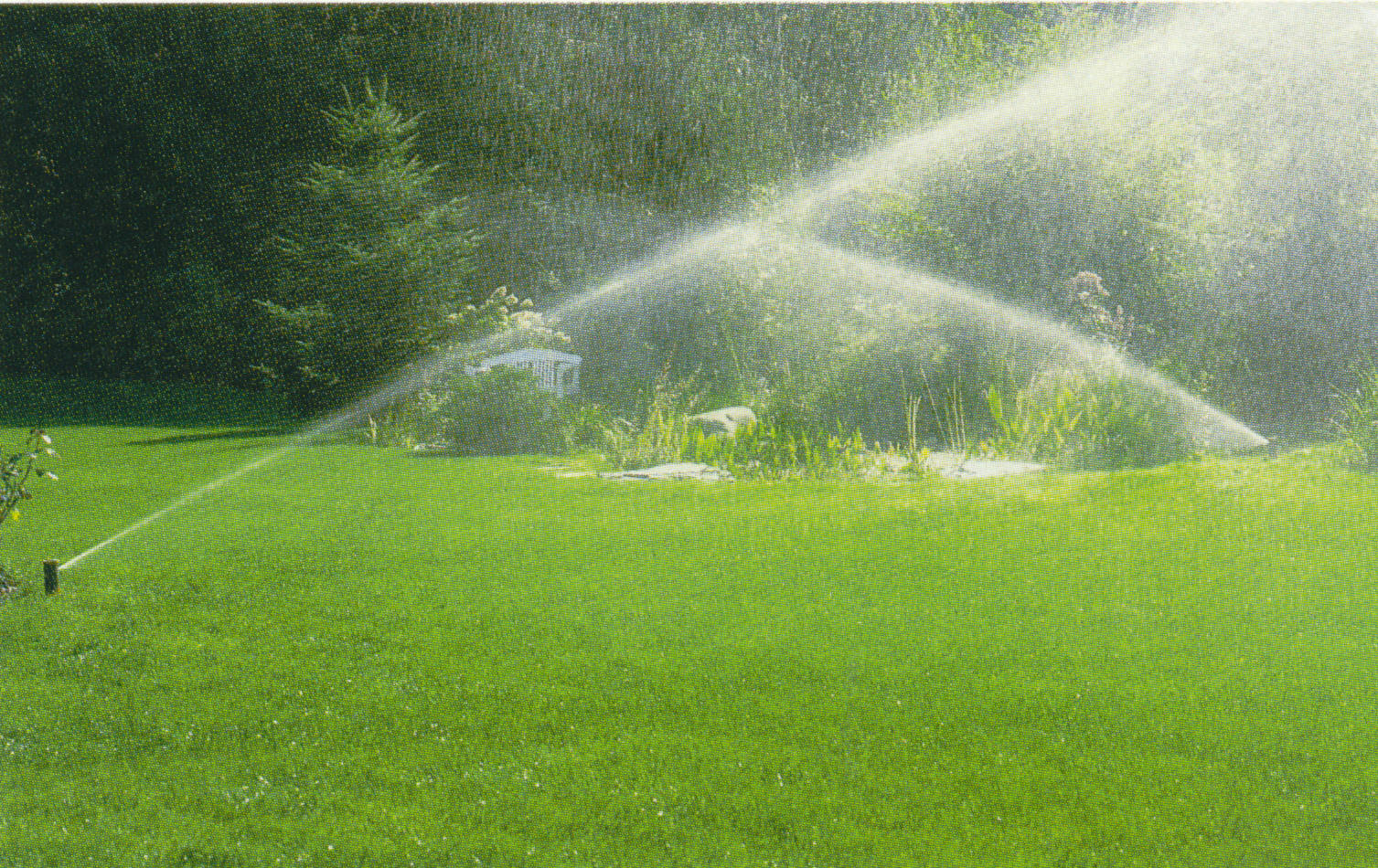 sprinkler system lafayette la