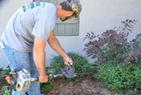 grass cutting and pulling lafayette la 