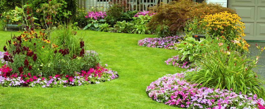 lawn care lafayette la 