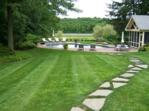 lawncare treatment programs