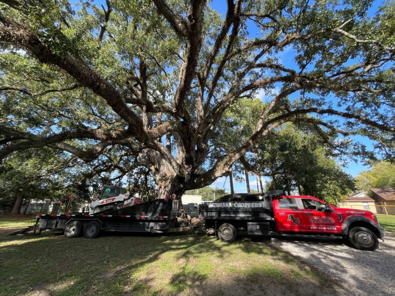 About Page Quality Work